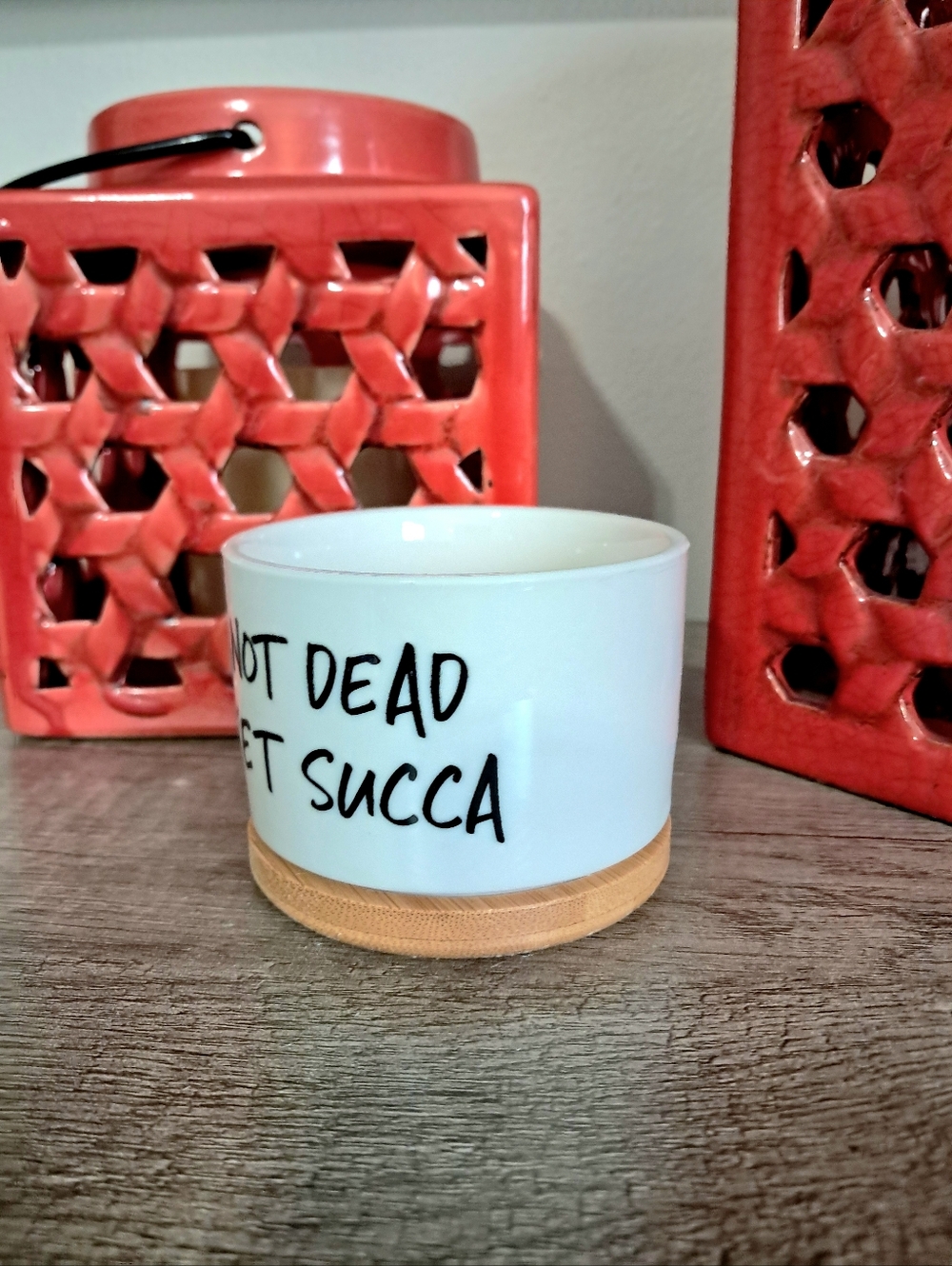 Not Dead Yet Succa Ceramic Planter with Bamboo Tray - Picture 2 of 4